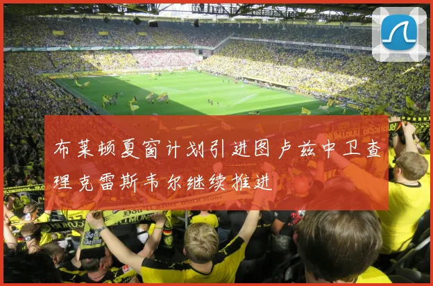 布莱顿夏窗计划引进图卢兹中卫查理克雷斯韦尔继续推进
